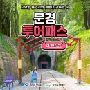 모노포레스트 | 문경투어패스 에코월드 할인 모노레일 거미열차 솔직 후기