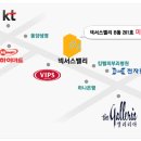 오월의 왁싱
