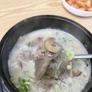 고원설렁탕 이미지