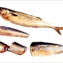 씨티티엘 이미지