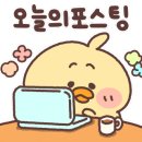 모던방충망 이미지