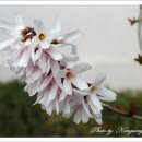 복자여자고등학교 이미지