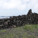 제주 올레길 19코스 이미지