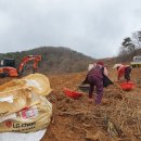 안흥농장 이미지