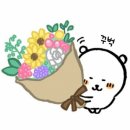 10년타기조원점 | 영국여행 후기...🇬🇧🤍(2)