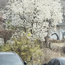 설탕커피님 주제가 있는 모임 : 여민뜰에서 식사 이미지