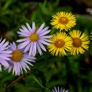 덕유산자연휴양림 이미지