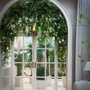 센텀호텔카카오트리 | 센텀호텔 카카오홀 웨딩홀 예식장 하객 후기 카카오트리 뷔페 식사 주차