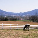 동현목장 이미지