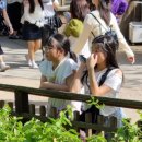 충효예무술관 이미지