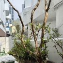 스윗베이커리 | 해운대 해리단길 카페 로우앤스윗 베이커리 재방문 내돈내산 후기