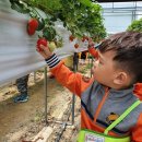 세광농장 이미지