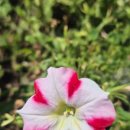 적당한 날 이미지