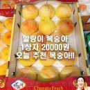 미자네과일