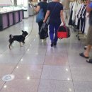 신포지하상가 Daum카페