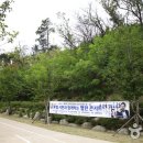 덕수공원 Daum카페