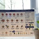 대전 둔산동 ㅣ 대전 시청역 샐러드 포케 맛집 슬로우캘리 후기