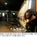 올쌈바게임장 이미지