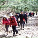 강화도 고려산 산행(090418) 이미지