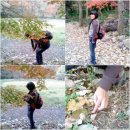 영광유치원 이미지