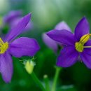 교동, 운현초등학교 이미지