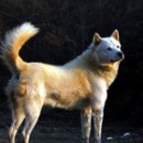 원풍농장 이미지