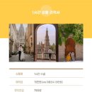W 53. [스페인/바르셀로나] 신행스냅 비노마드스튜디오 사진은 맛집, 대응은 흠집? 솔직후기!