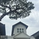 사천로 | 청주 아르떼 웨딩컨벤션 하객,뷔페 후기