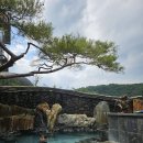 원효주