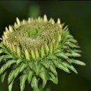 예쁜손글씨 POP 이미지