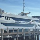 캡틴하우스 | 시드니 캡틴쿡 크루즈 하버 선셋 디너 후기 | 메뉴 추천