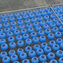 대전버스(주) | 대전 근교 가볼만한 곳 천안 각원사 겹벚꽃 상황 후기 4월 20일 방문 뚜벅이