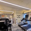 SH 휘트니스 | 제목: 근육 맛집 SH휘트니스에서 변화 시작!