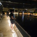 시흥드림바다 낚시터 이미지