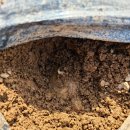 황포농장 이미지