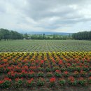 국철농장 이미지