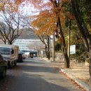 동수영중 앞 이미지