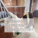 프리미어아레나승마클럽 | [원주]초등학생 아이와 재방문한 승마체험 내돈내산- 홀스앤독/프리미어아레나 승마클럽
