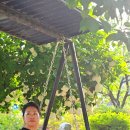 부춘농장 이미지