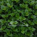 사진을 찍다 이미지