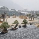 마더카페