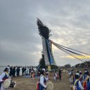 달맞이 이미지