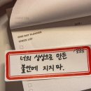 동일계란