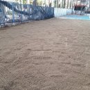 호산초등학교 병설유치원 이미지