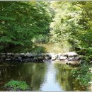 계곡풍경 이미지