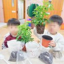 대지초 병설유치원 이미지