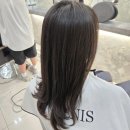 대전 둔산동 미용실 비안이즈 클리닉 솔직 후기