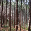 초당대학교 이미지