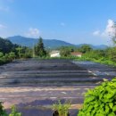 조은땅공인중개사사무소 이미지