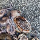 무등펜션 이미지